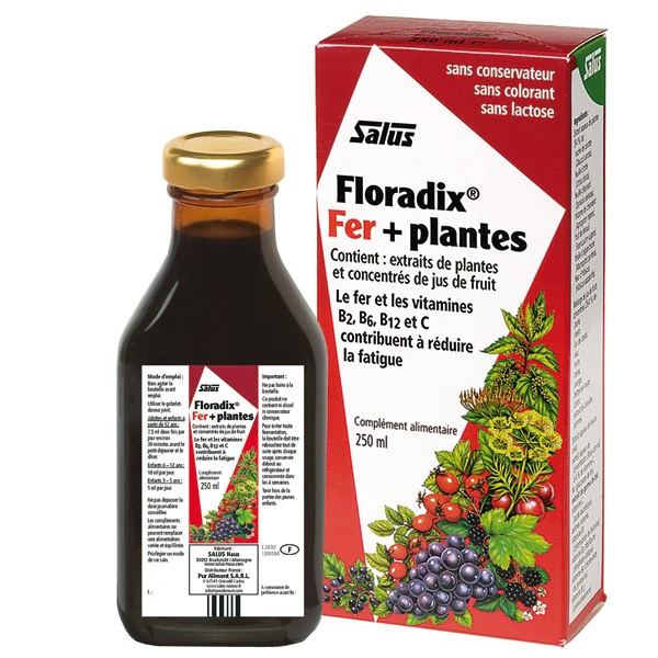 Floradix-Fer + Plantes-500 ml-Salus