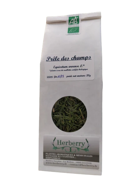 Prêle des champs Bio pour tisanes-25g-Herberry