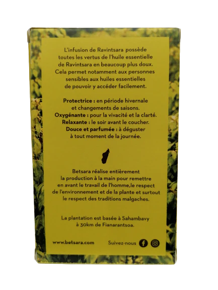 Infusion de Ravintsara bio-20 infusettes-Betsara – Image 2