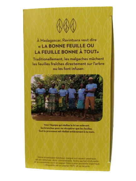 Infusion de Ravintsara bio-20 infusettes-Betsara – Image 4